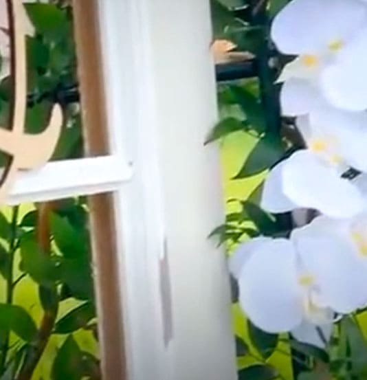 Видео коллекция